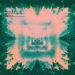Bonobo, First Fires