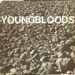 The Youngbloods, Rock Festival