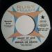 Brenda Lee Melson, The Love Game
