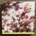 Tara Clerkin Trio, In Spring