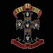 Guns N' Roses, Appetite For Destruction