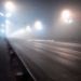 Brad P, Late Night Journeys