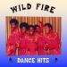 Wild Fire , Dance Hits