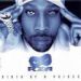 RZA, Birth Of A Prince