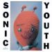 Sonic Youth, Dirty