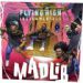 Madlib, Flying High (Instrumentals)