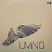 LMNO, Invigorating