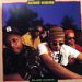 Brand Nubian, Slow Down